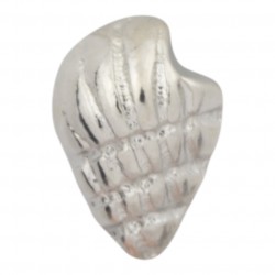 Sea Shell Floating Charm