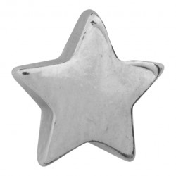 Star Floating Charm
