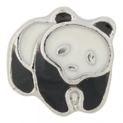 Panda Bear