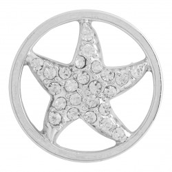 Starfish w/ Crystals - Large